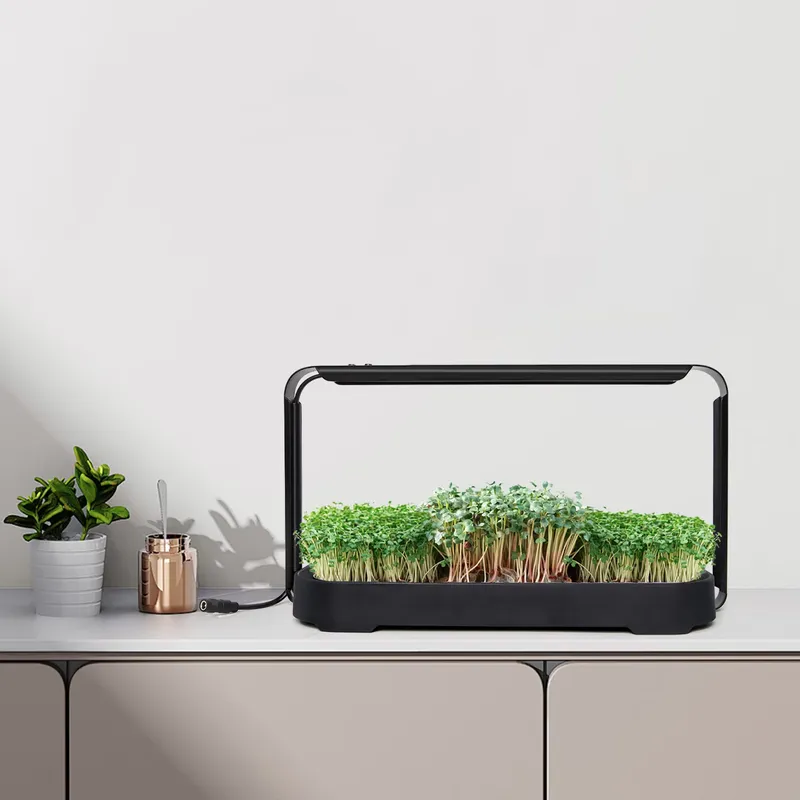 Indoor Garden Kit - Система для выращивания микрозелени с автополивом