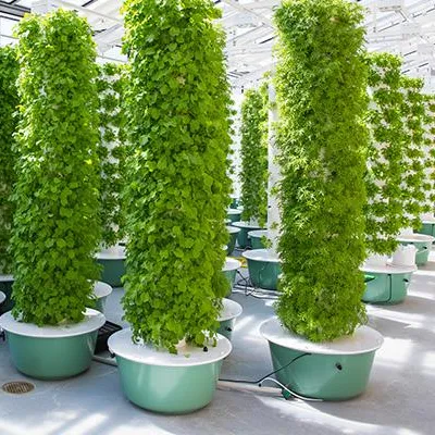 Аэропонные башенные системы дл – обзор и цена Hydroponic Tower