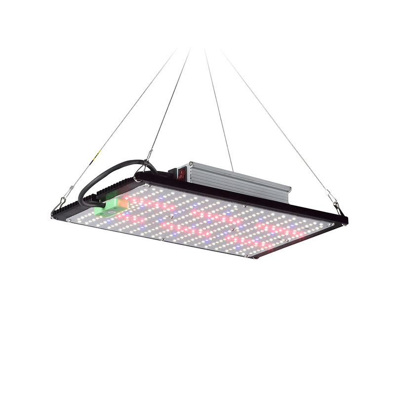 Светодиодный квантовый светиль – обзор и цена Grow Light Led