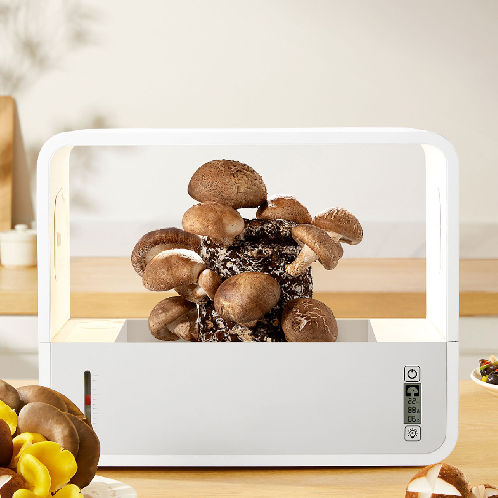 Комплект для выращивания грибо – обзор и цена Grow Light Led
