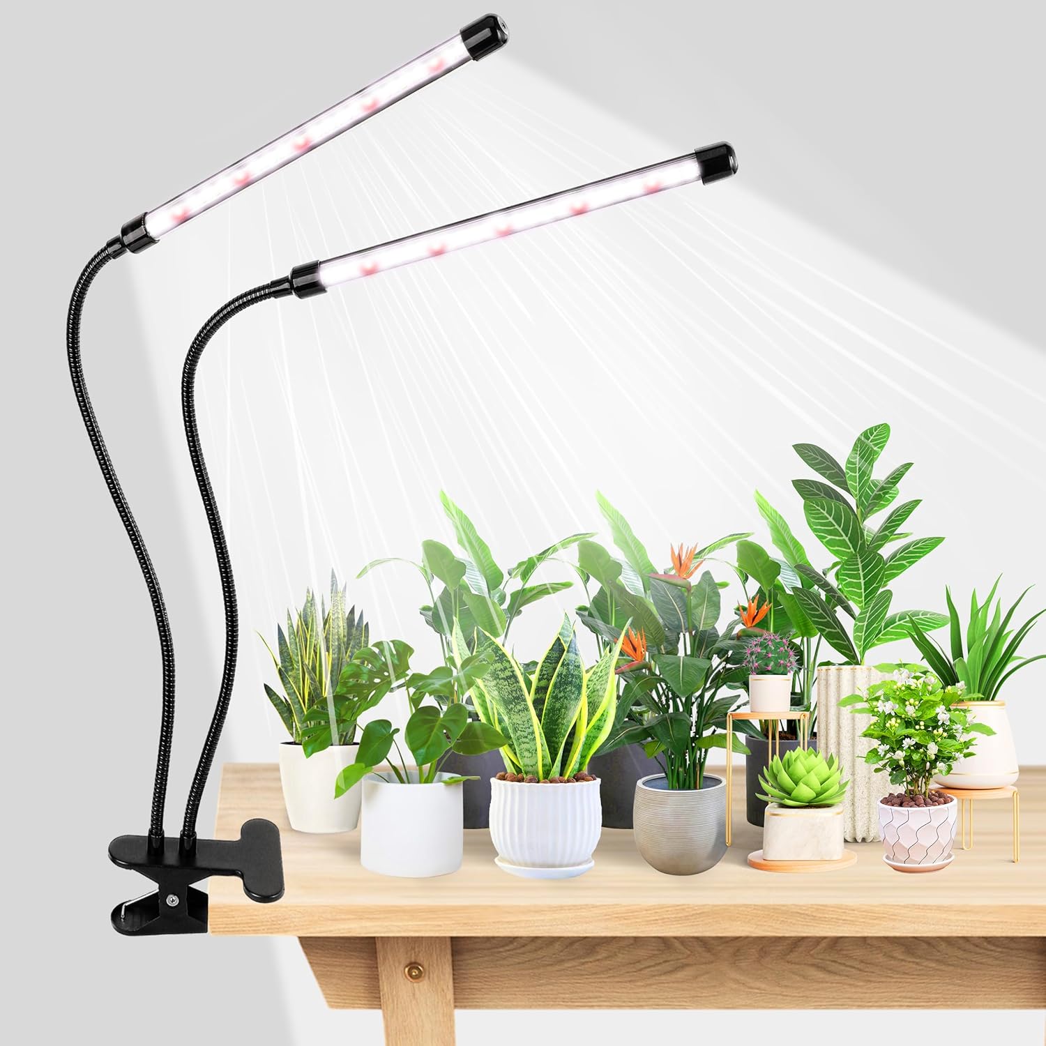 KEBINCPLED USB 5V Светодиодная – обзор и цена Hydroponic Grow Pod