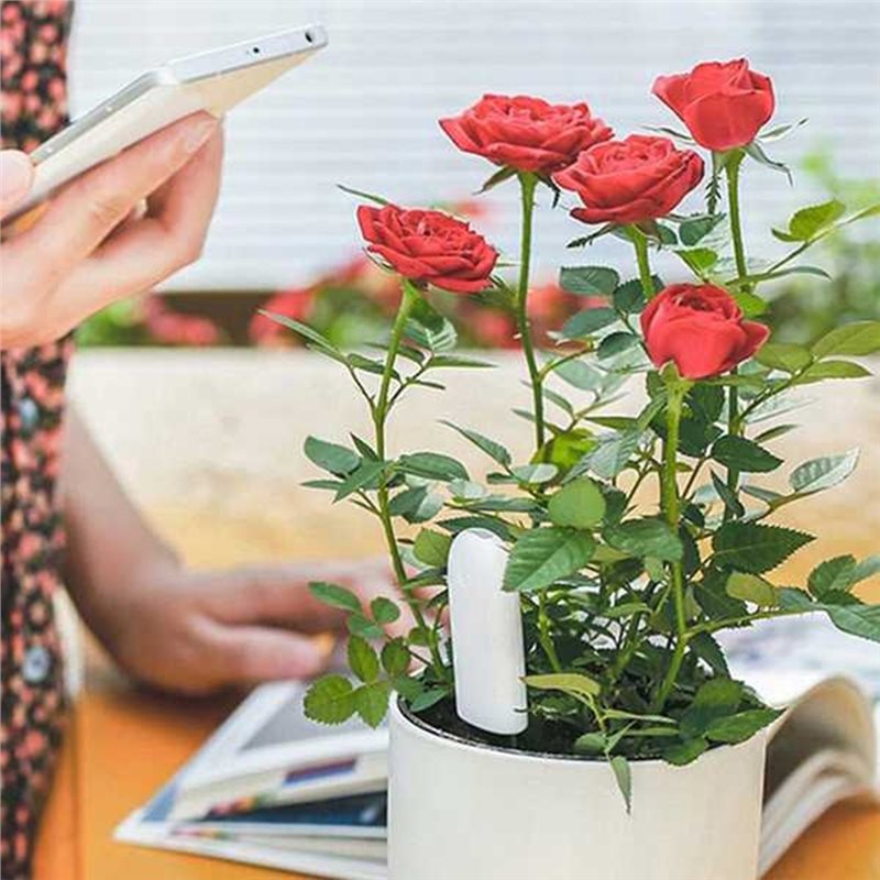 Умный монитор для цветов ABVG- – обзор и цена Plant Sensor