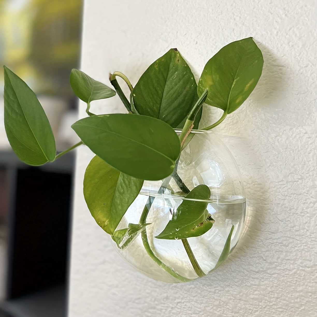 2 шт./4 шт./6 шт. настенный ст – обзор и цена Hydroponic Grow Pod