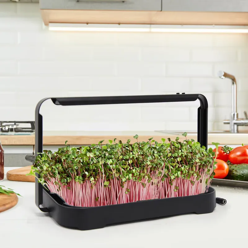 Гидропонный лоток для выращива – обзор и цена Indoor Garden Kit
